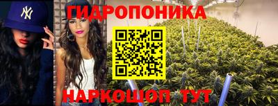 стафф Краснодар
