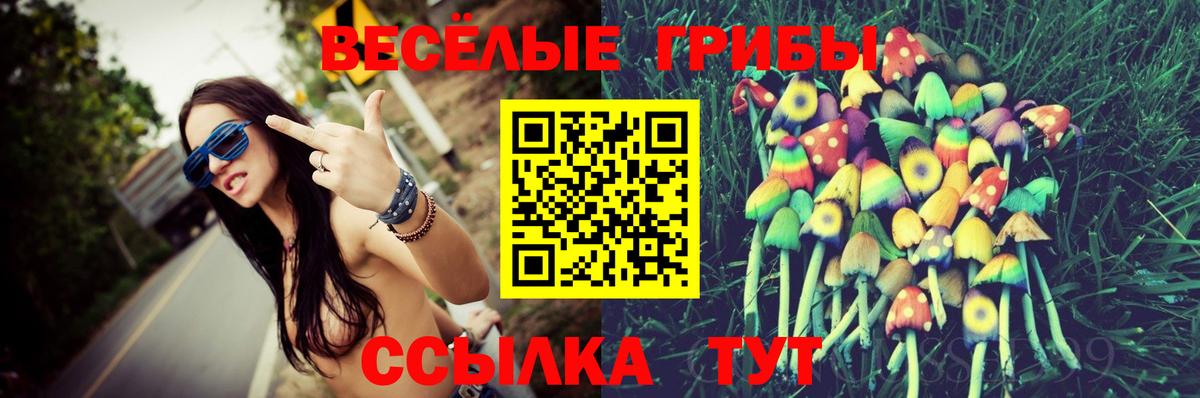 Шатура  что такое   Вход с VPN  Псилоцибиновые грибы Psilocybine cubensis 